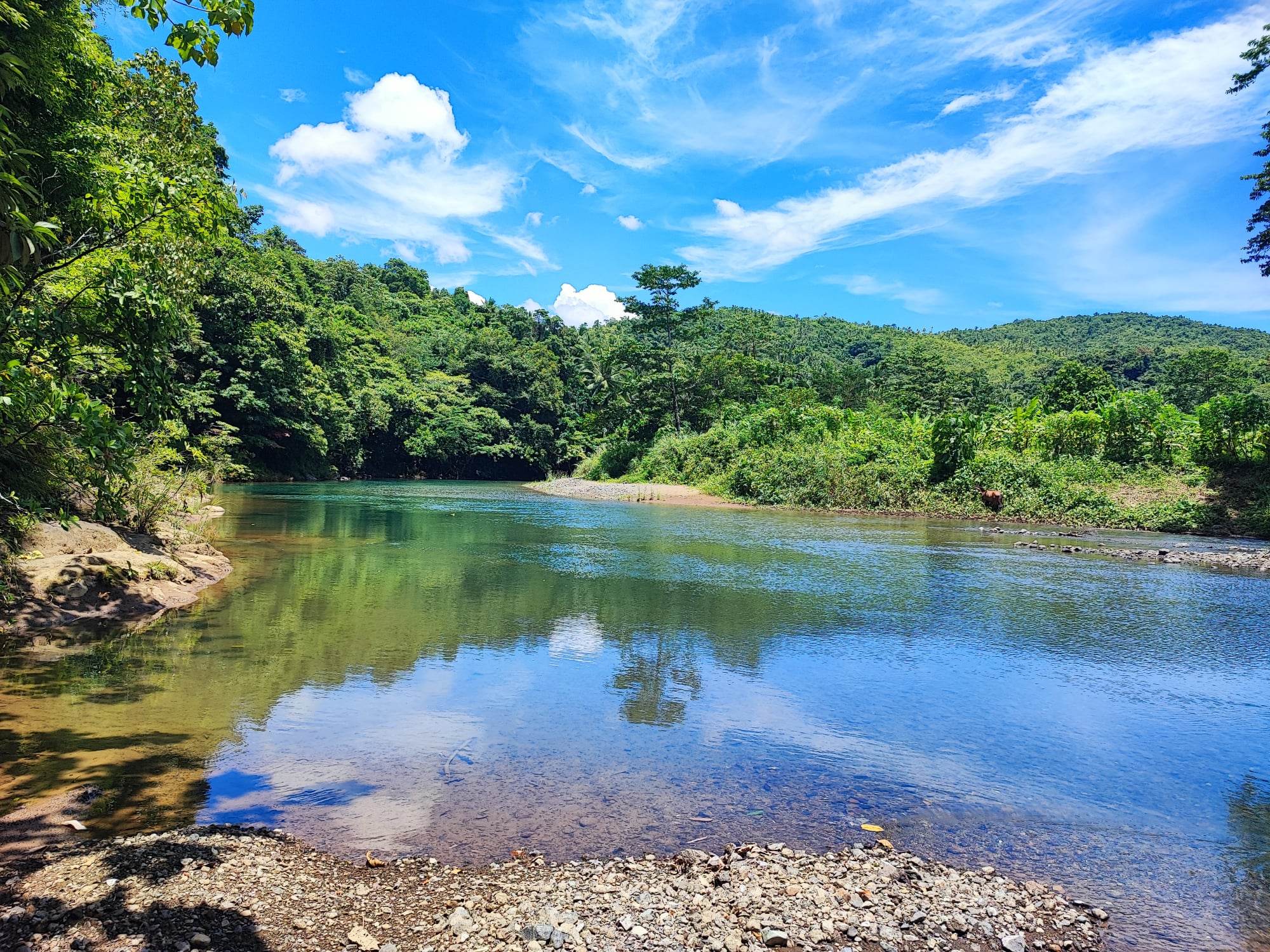 Aguila Camp River Resort