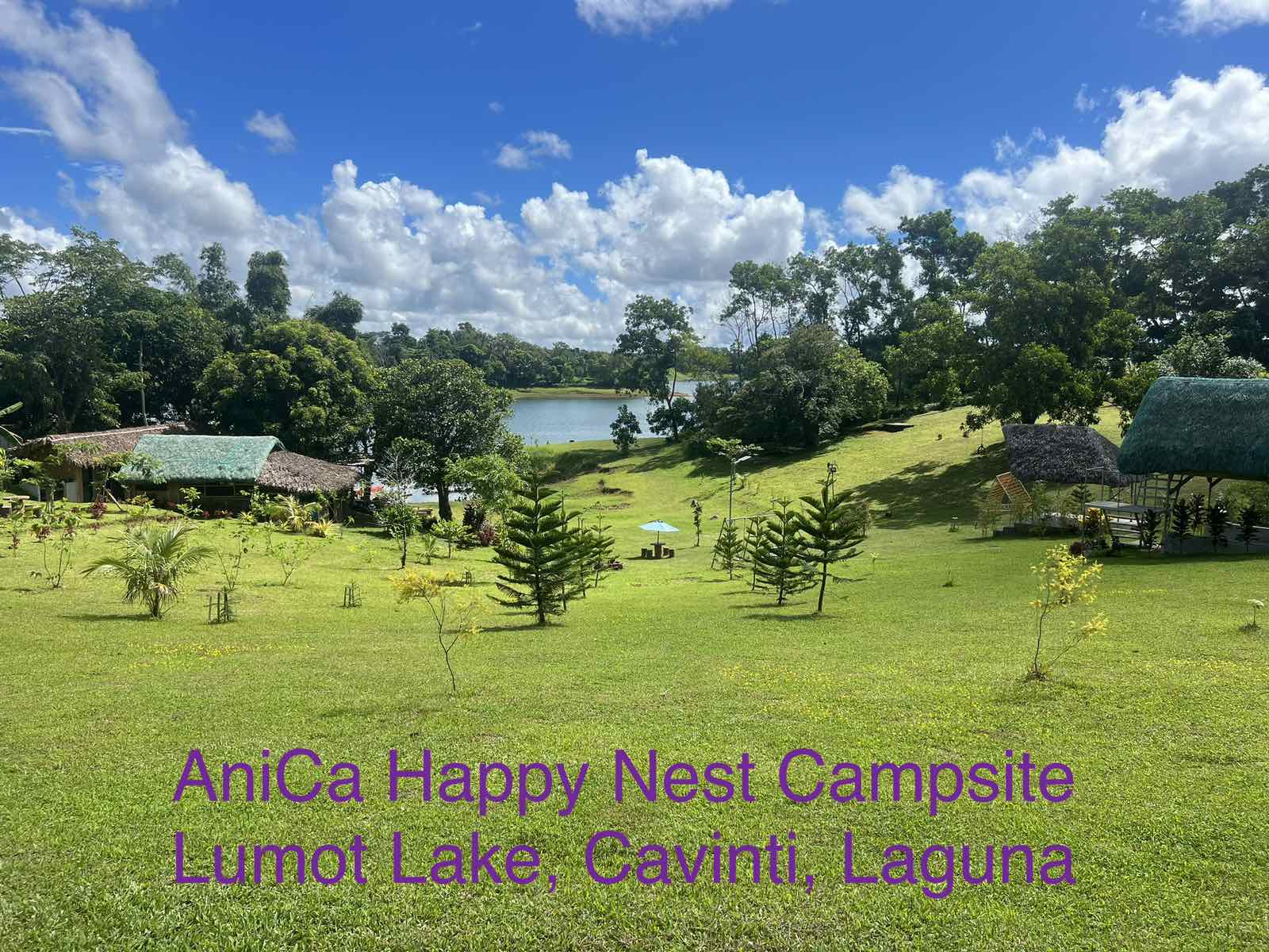 AniCa Happy Nest Campsite